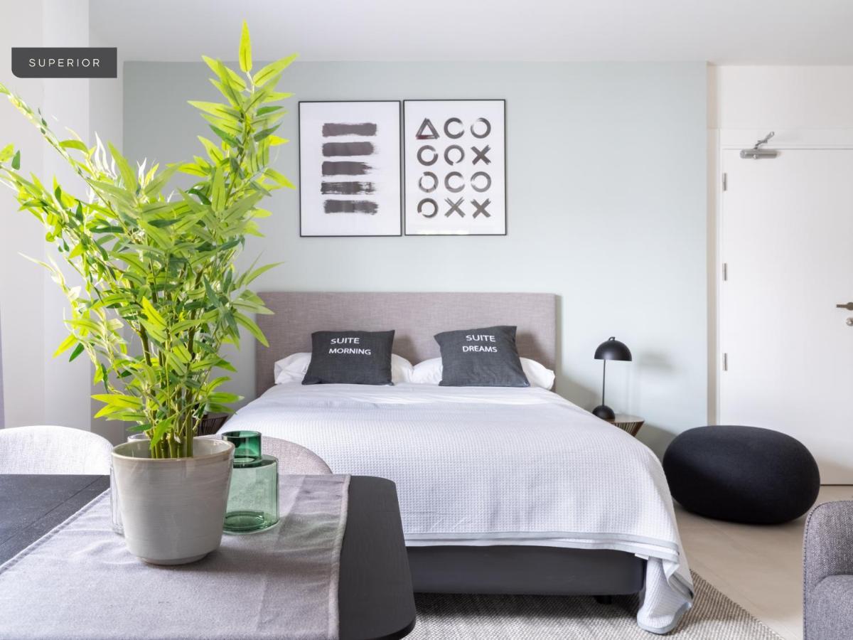 Superior Apartment,1115599560:JPEG