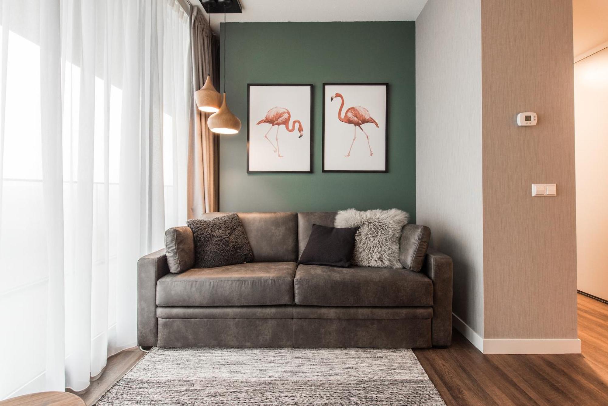 1 Bedroom Apartment Balcony Sofa Bed