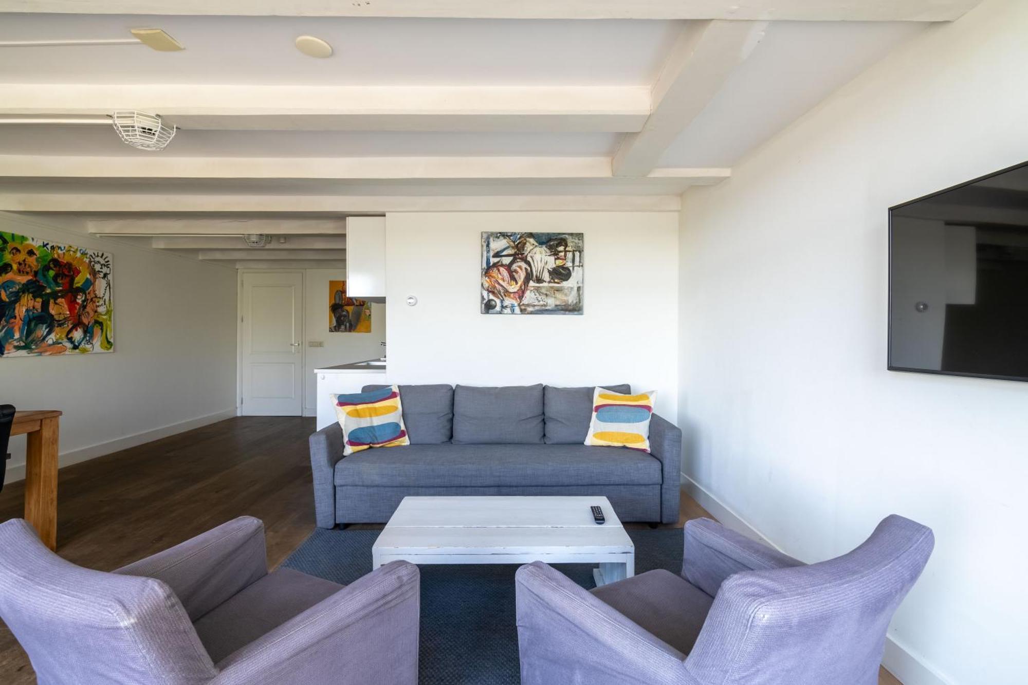 Large 1 Bedroom Apartment Sofa Bed