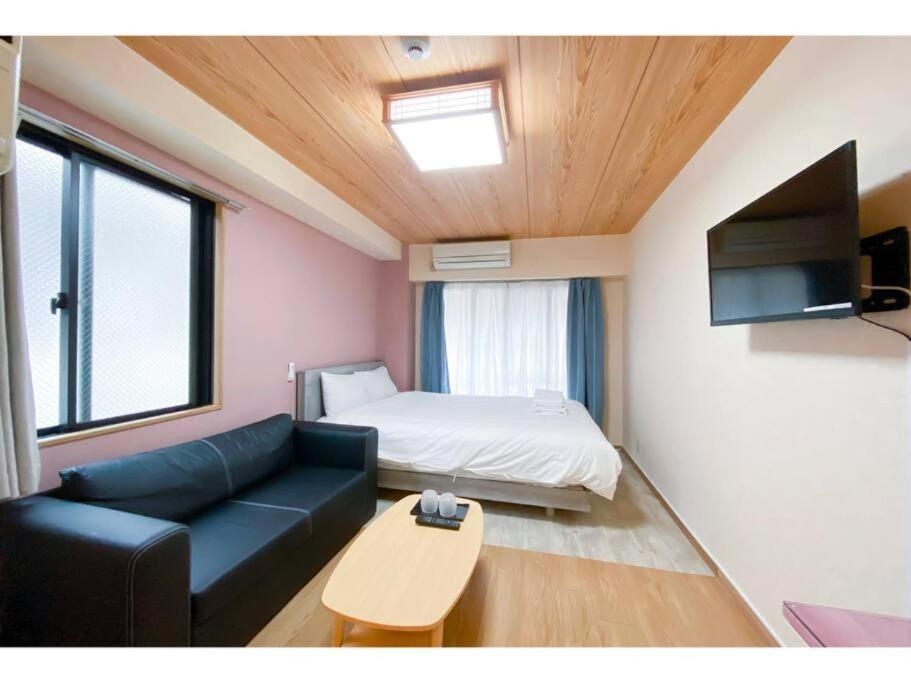 Studio with Sofa Bed