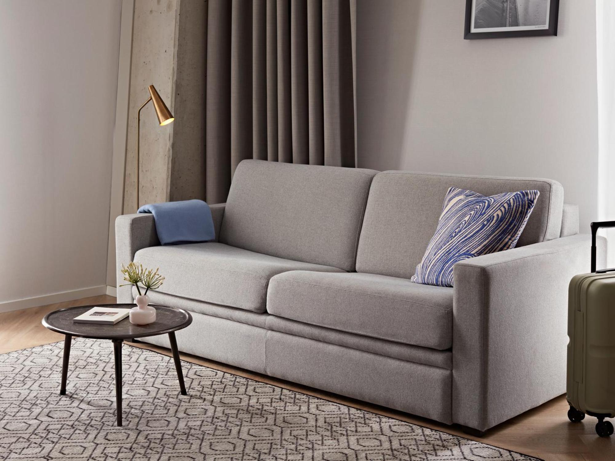Large 1 Bedroom Apartment Sofa Bed