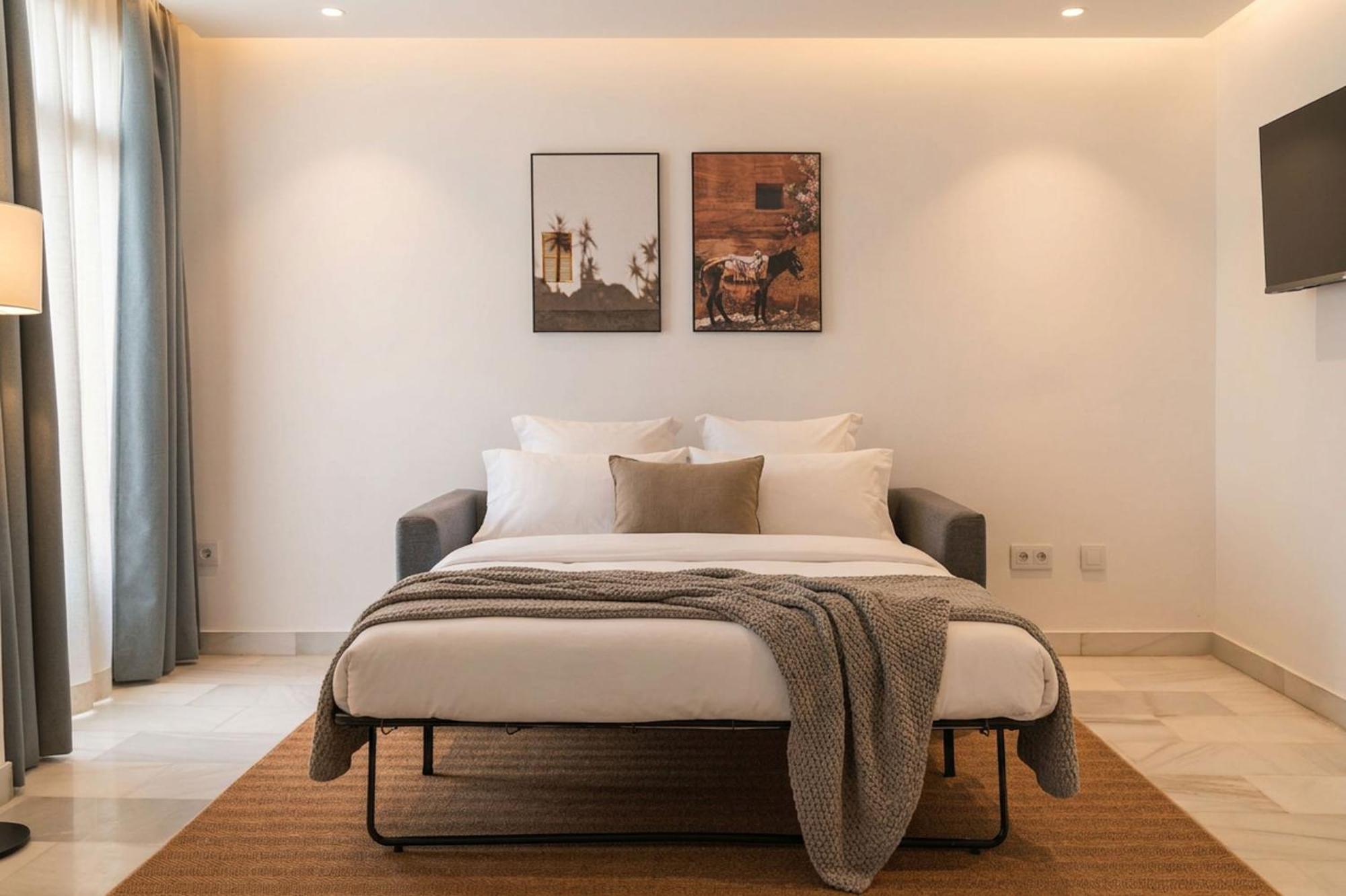 One-Bedroom Apartment sofa bed