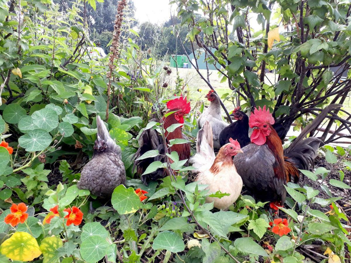 Three-Bedroom Standard Apartment,852944516:JPEG