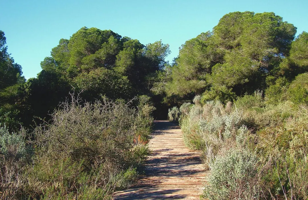 Albufera Dreams Nature Suites-1