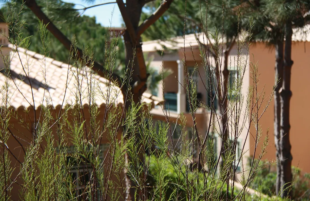 Quinta Pedra Dos Bicos-1