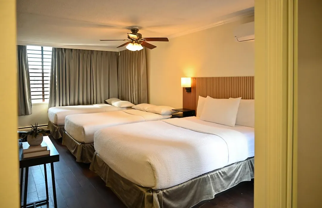 Hotel Opportune-1