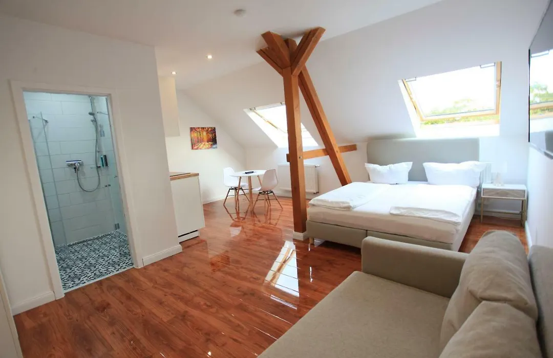 Zollikof Aparts - Sauna & Studioapartments-1