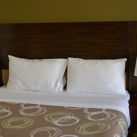 Yti Garden Hotel-3