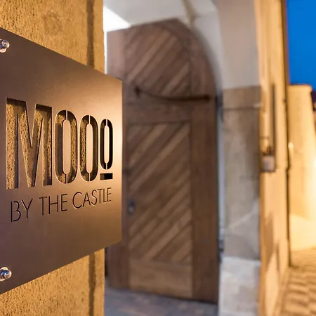 Mooo By The Castle-3