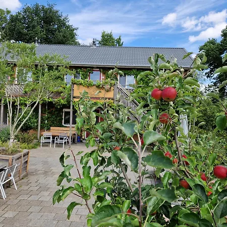 Amsterdam Farm Lodge-3