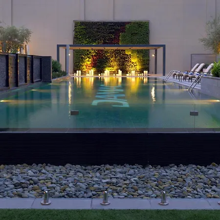 Damac Maison Cour Jardin-3