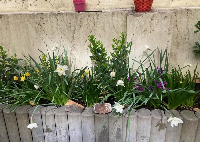 Aparthotel City 5 Prague