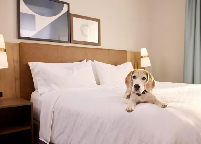 Staybridge Suites Liverpool By Ihg